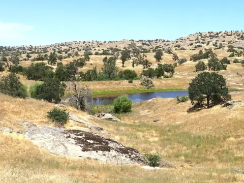 38 Acres of Range Land