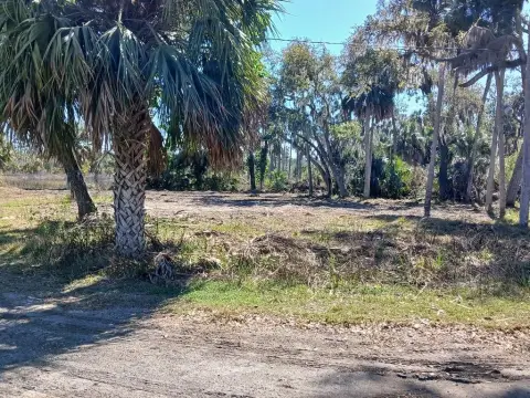 Waterfront Land Near Suwannee, FL