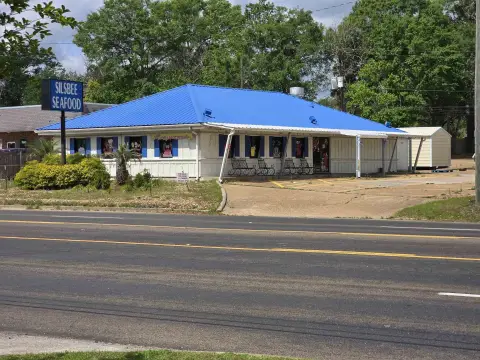 Silsbee Commercial Property on Highway