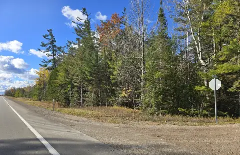 Land Near Mullett Lake