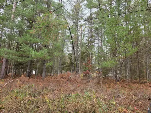 Grayling Land Near Lake Margrethe