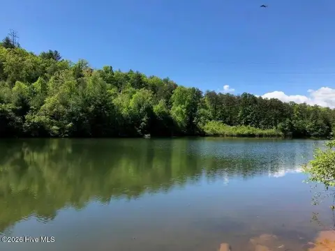 Wooded Waterfront Land