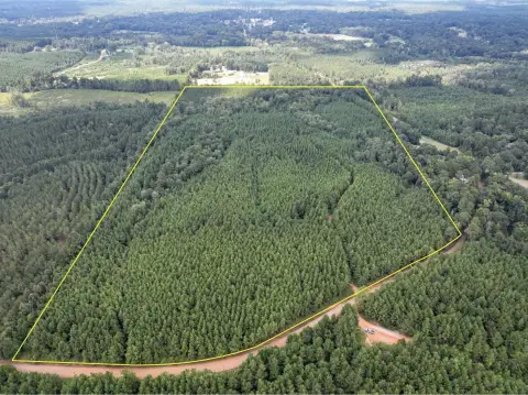 Wooded Pine Farmland