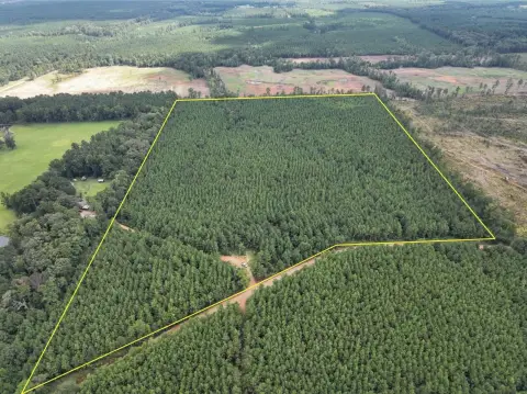 Wooded Agricultural Land