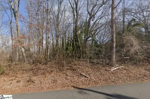 Wooded Lot Near Swamp Rabbit