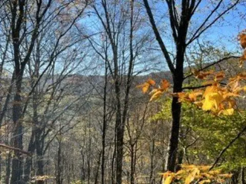 Recreational Wooded Land Parcel