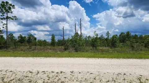 Residential Land in Brooksville, FL