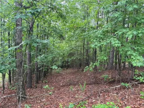 Secluded Land in Lee County
