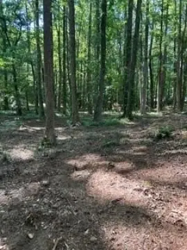 Hiram, GA Wooded Land Parcel