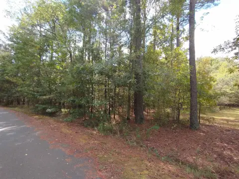 Diamante Subdivision Lot For Sale