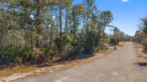 Coastal Homesite in Steinhatchee