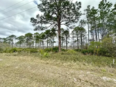 Acreage Lot near Cedar Key