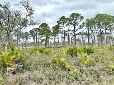 Acreage Lot near Cedar Key
