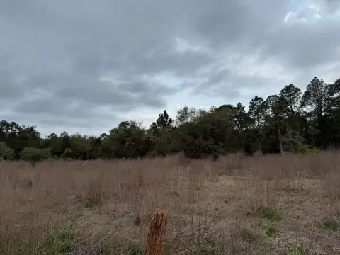 Crystal River Residential Lot