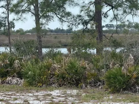 Waterfront Homesite in Cedar Key
