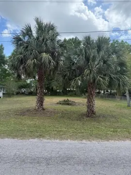 Residential Lot in Trenton, Florida