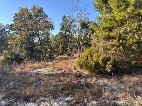 Archer, FL Vacant Lot