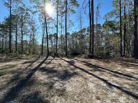 Land Parcel Near Suwannee, FL
