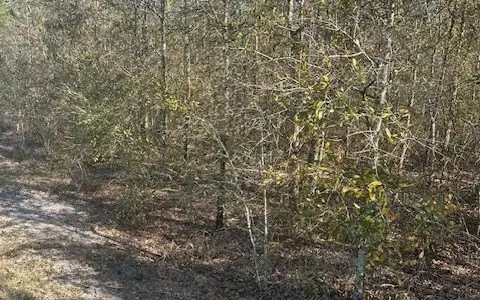 Wooded Acreage in Madison County