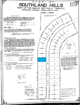 Wooded Lot in Lewiston, MI