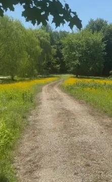 Lakeside MI Wooded Building Site