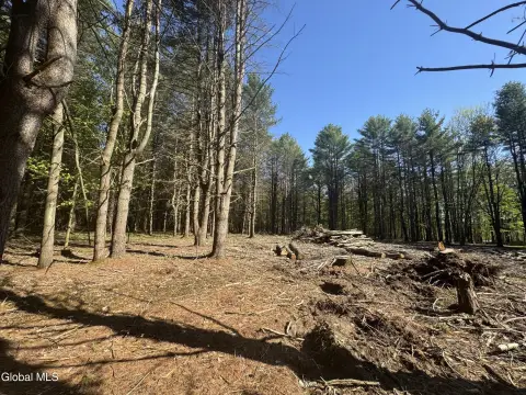 Scenic Land in Cooperstown, NY