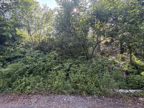 Ocean Park Wooded Lots