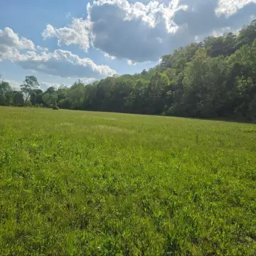 Waynesburg, KY Land For Sale
