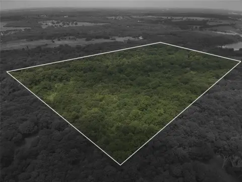 Wooded Recreation Land Tract