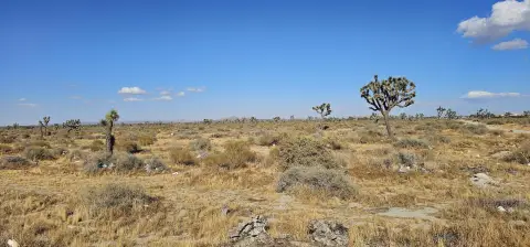 Palmdale Land Parcels For Sale