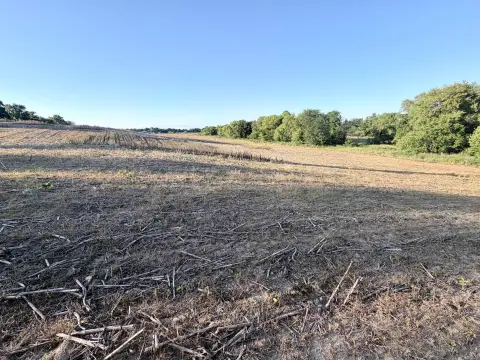 Agricultural and Hunting Land Tract