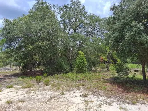 Dunnellon Acreage Homesite For Sale