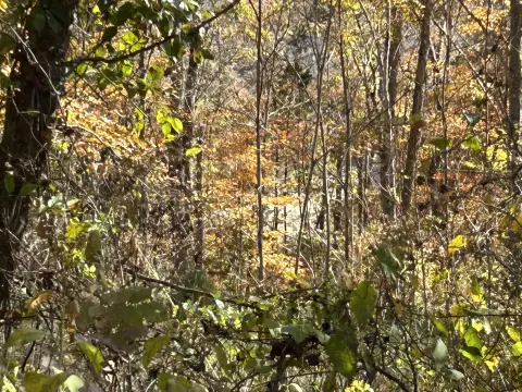 Lakefront Lot in Somerset, KY