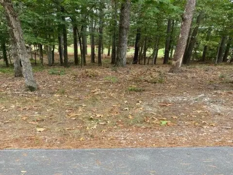 Golf Course Lot in Diamante