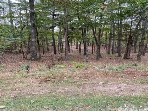 Golf Course Lot in Diamante