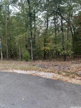 Subdivision Lot in Hot Springs