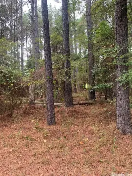 Hot Springs Village Subdivision Lot