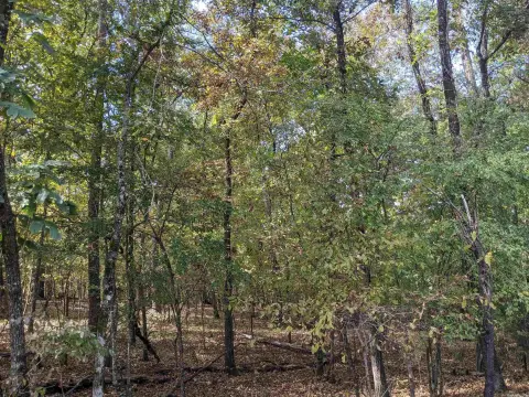 Hot Springs Village Subdivision Lot