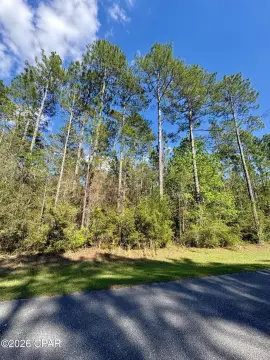 Vernon, FL Building Lot