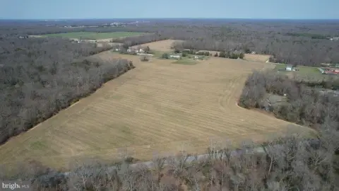 Expansive Farm with Development Potential