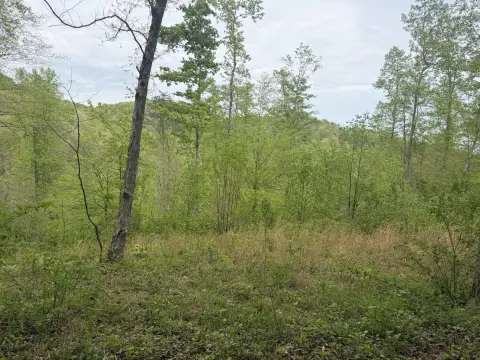 Recreational Land in Rural Setting