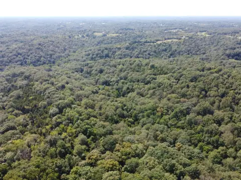 Frankfort Land with Recreational Potential