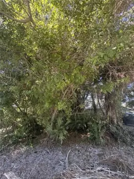 Vero Beach Land for New Home