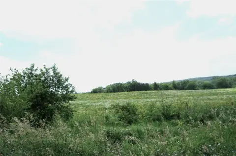 Agricultural Land with Active CRP