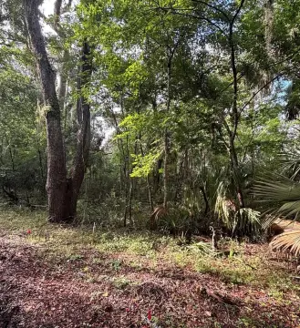 Old Town Homesite Near Suwannee