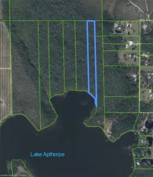 Wooded Land Parcel