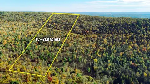 Wooded Recreation Land