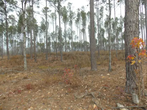 Residential Land Near Lake Thurmond
