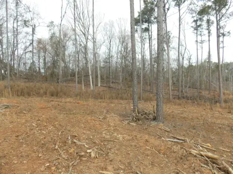 7.96 AC Homesite Near Lake