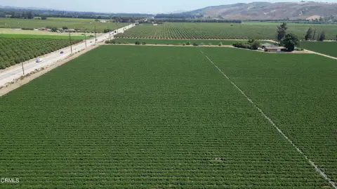 Vegetable Farm With Improvements
